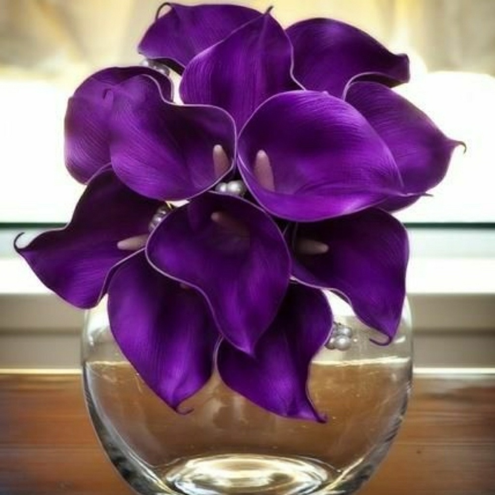 Meet your Posher, Genesis