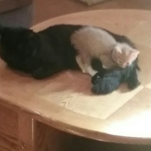 Meet your Posher, Sara