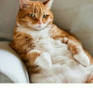 Meet your Posher, Gerardo