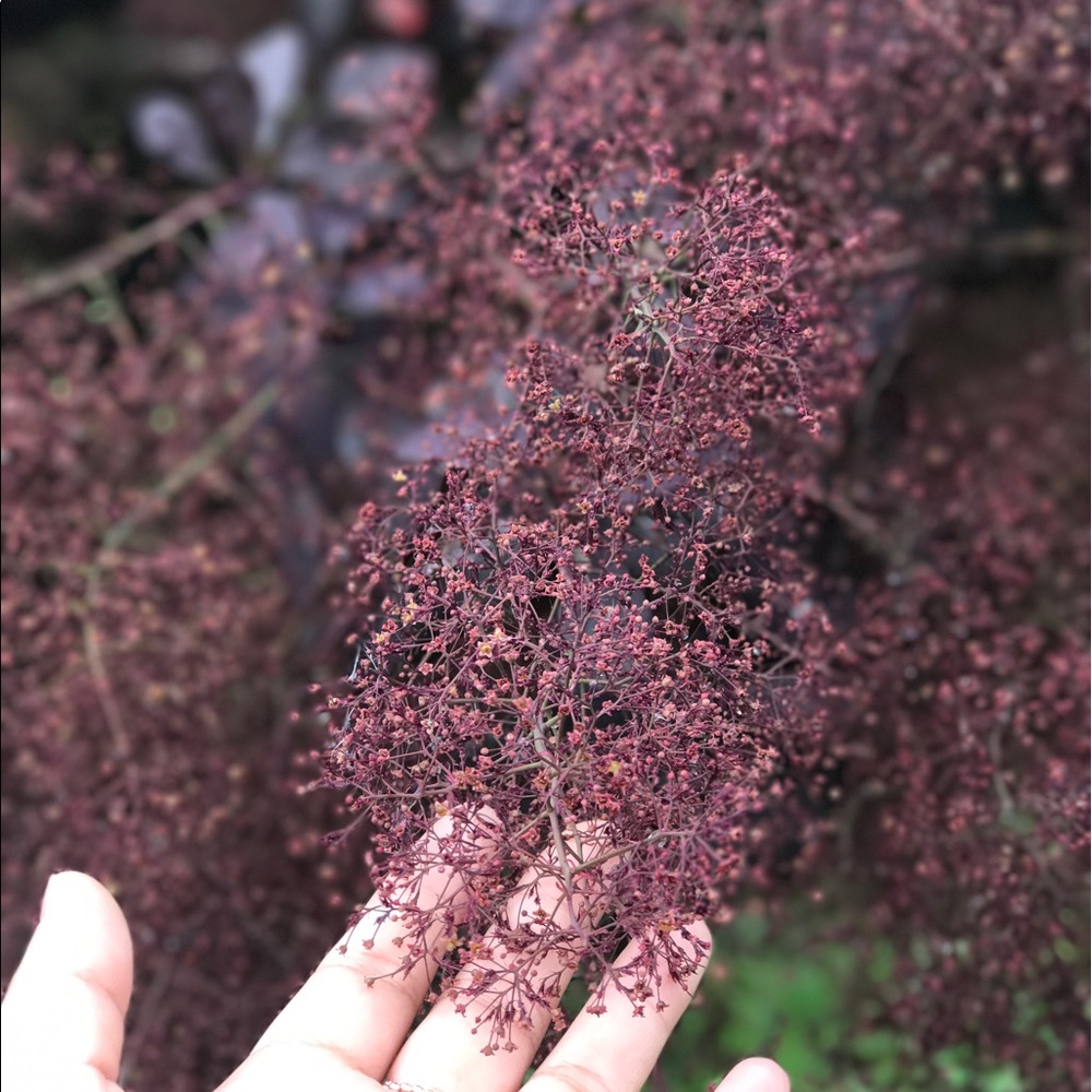 Meet your Posher, Rashmi