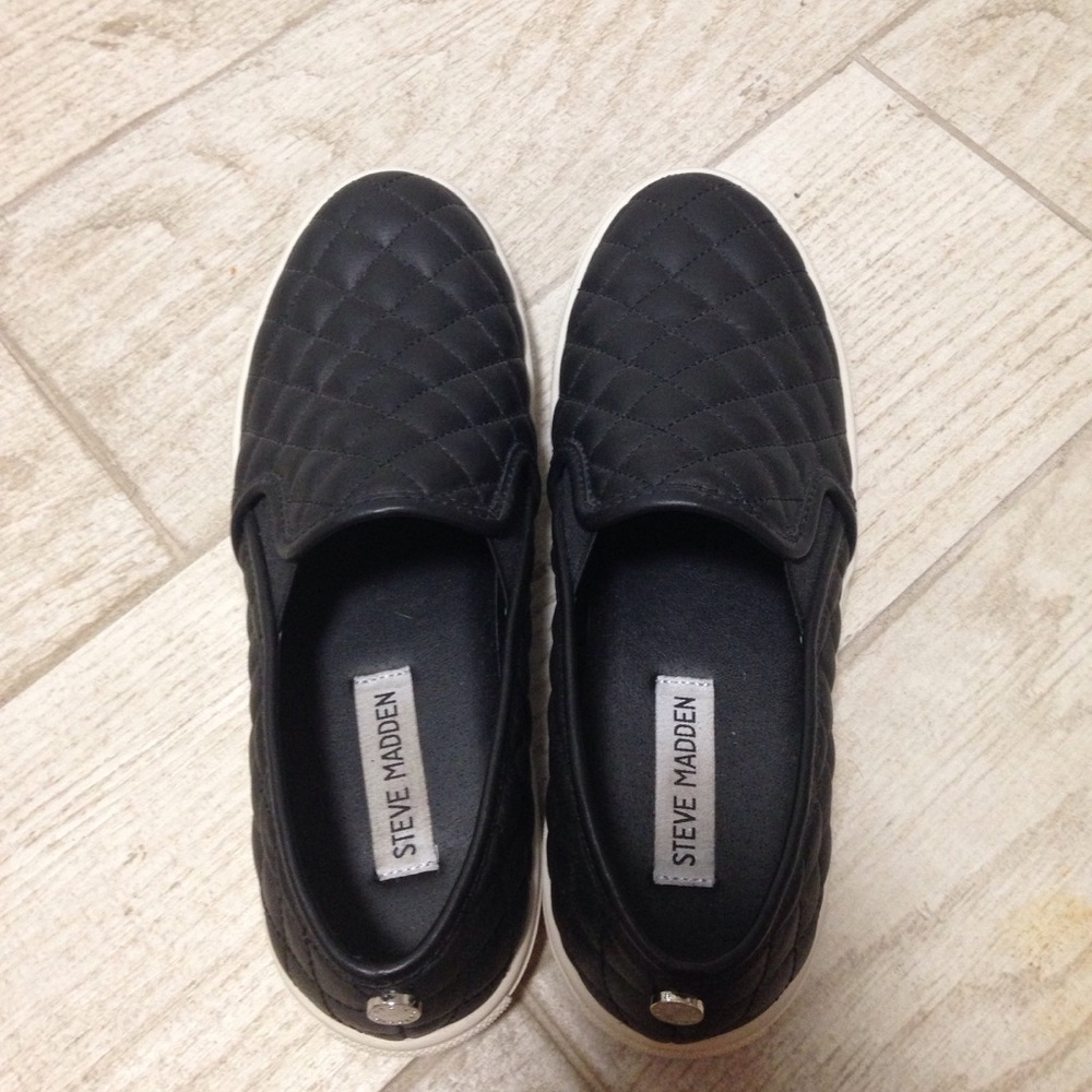 Steve Madden Ecentrq shoes