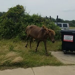 Meet your Posher, Madyson