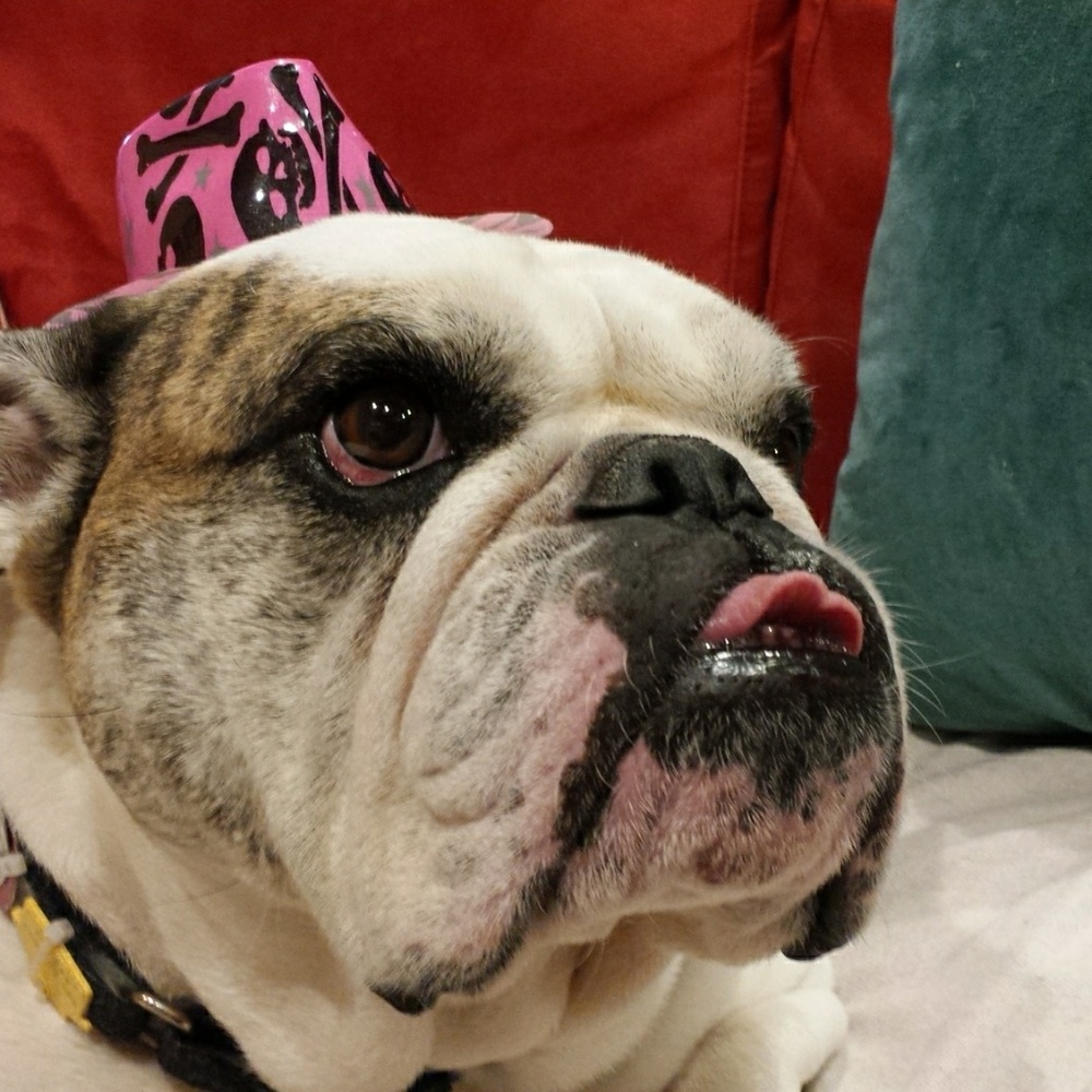 Meet your Posher, Elva