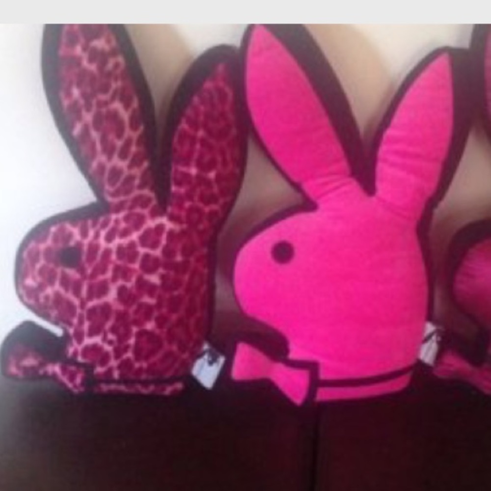 ISO pink or pink leopard playboy pillow