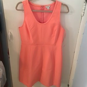 NWOT J. Crew Factory Dress