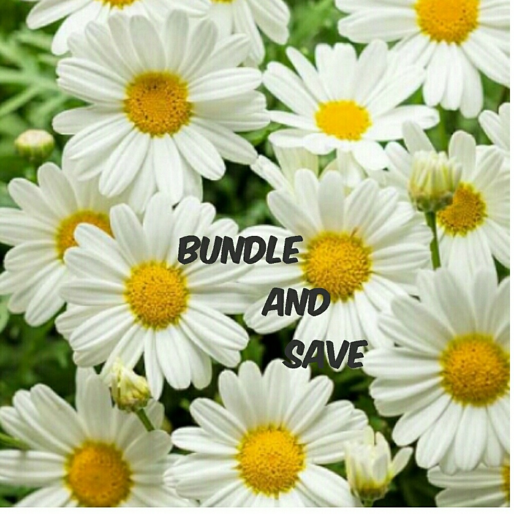 Bundle