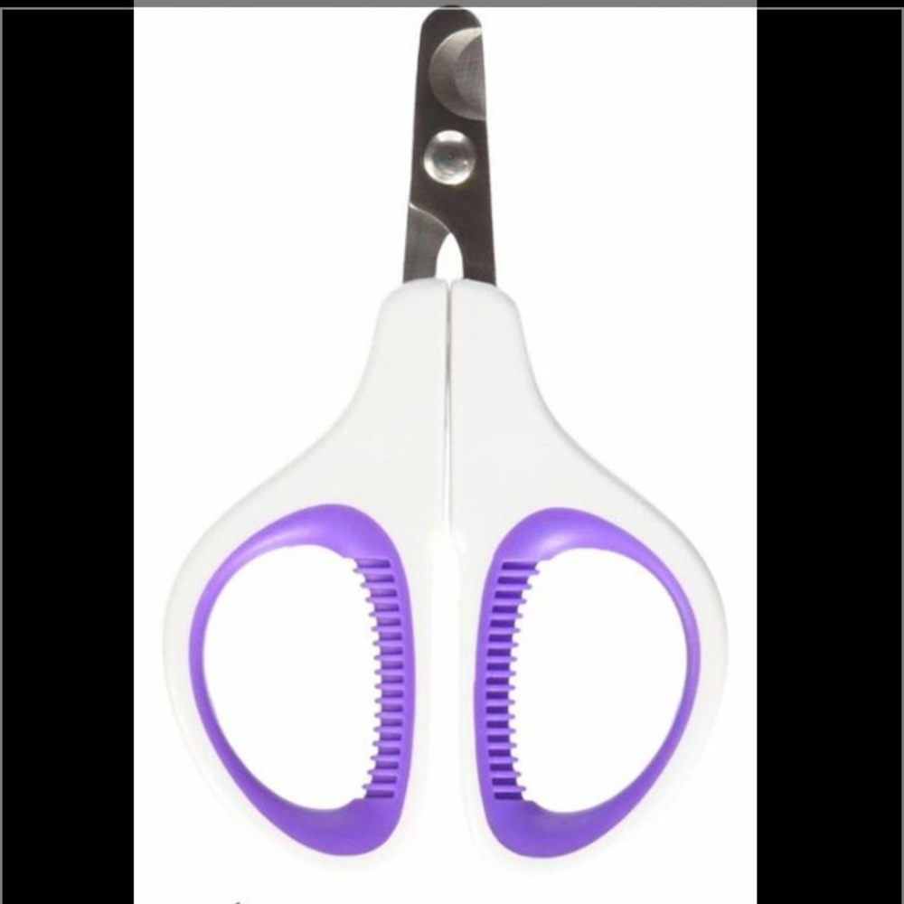 Nail trimmer and pink training clicker