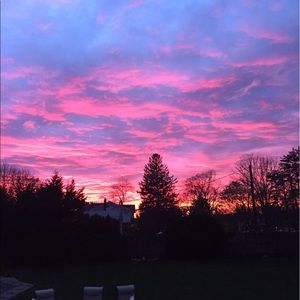 Meet your Posher, Colin