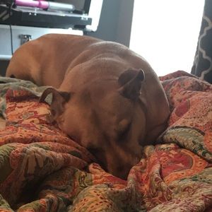 Meet your Posher, Victoria