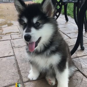 Meet your Posher, Meghan