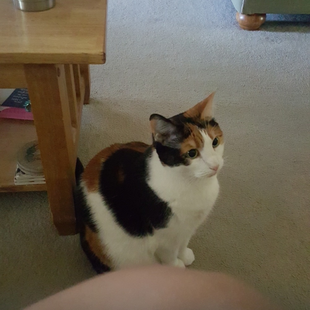 Meet your Posher, Andrea