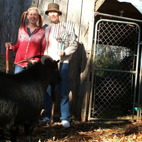 Meet your Posher, Jolynn - Picture 1 of 1