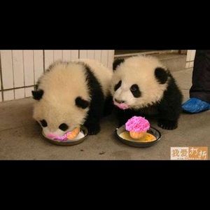 Meet your Posher, Daphne