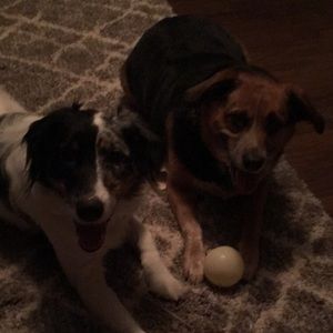 Meet your Posher, Allison