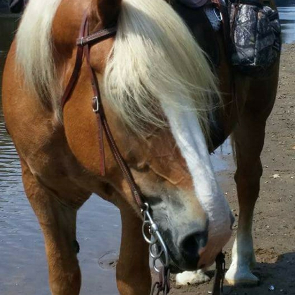 Meet your Posher, Patrice