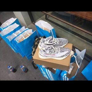 Adidas yeezy boost 350 V2