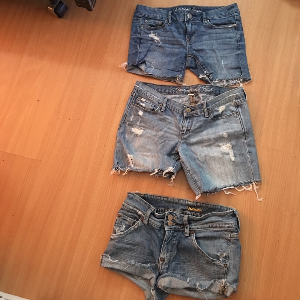 Hudson cutoff denim shorts