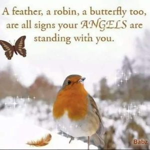 Meet your Posher, Robin