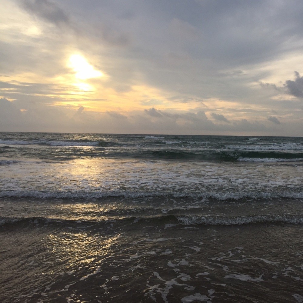 Meet your Posher, Desiree