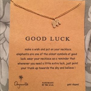 Brand new Good luck necklace