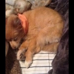 Meet your Posher, Juanita