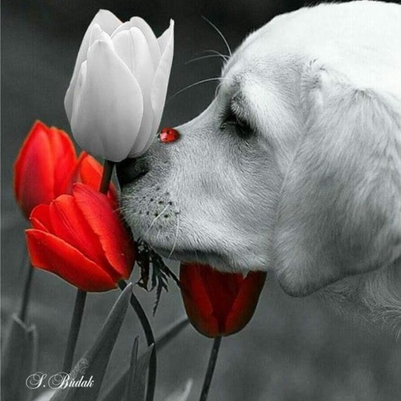 Meet your Posher, Olena - Picture 2 of 2