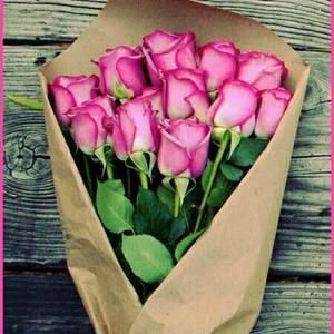 Meet your Posher, Sofia