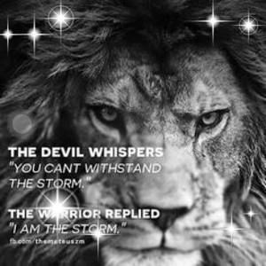 Meet your Posher, Rosanny eduardo