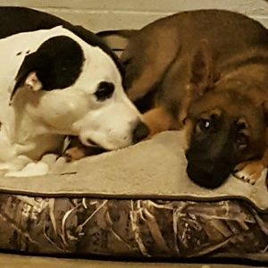 Meet your Posher, Misty