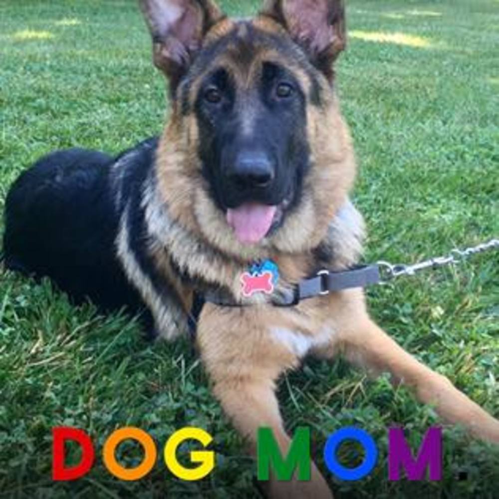 Meet your Posher, Millie