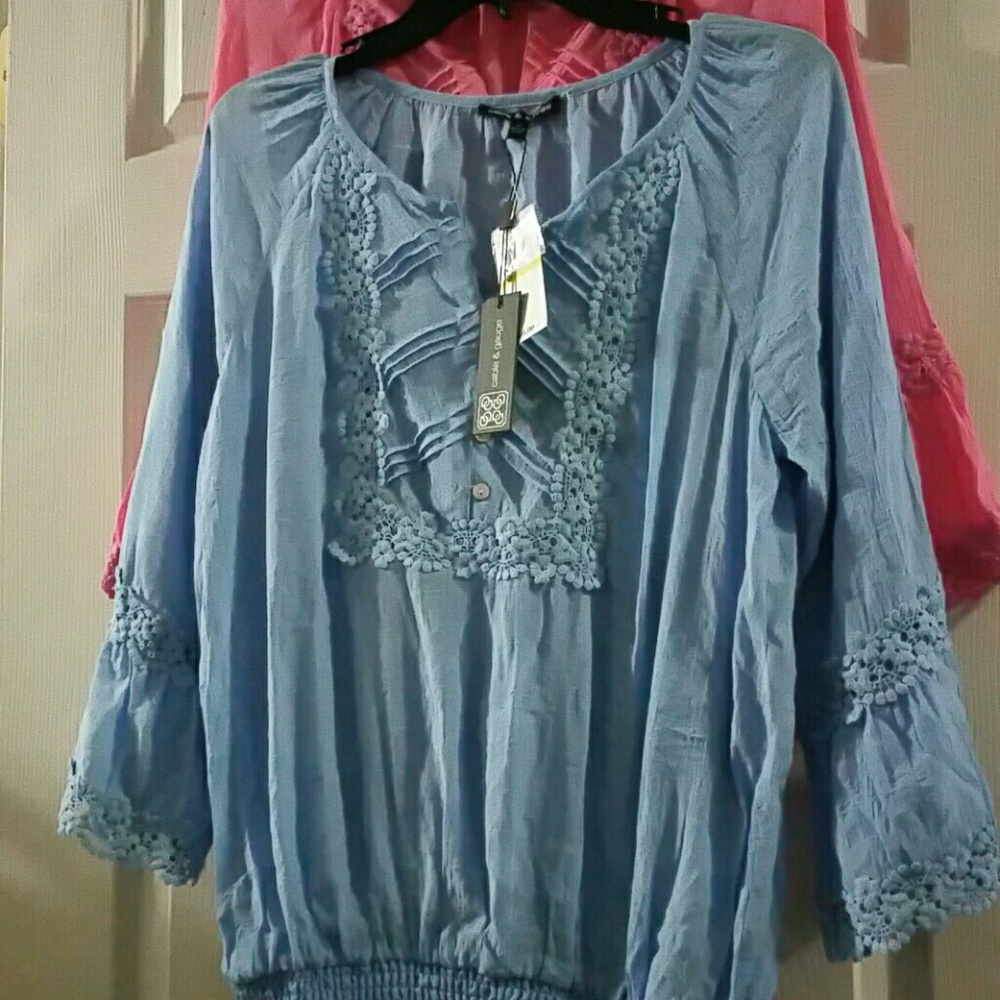 Long sleeve embroidered baby blue top