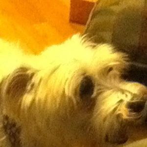 Meet your Posher, Zachary