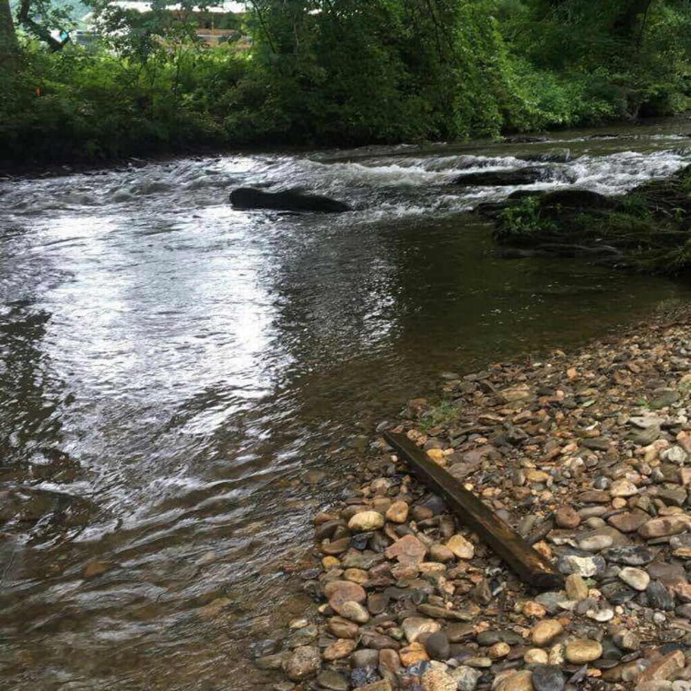 Meet your Posher, Johna