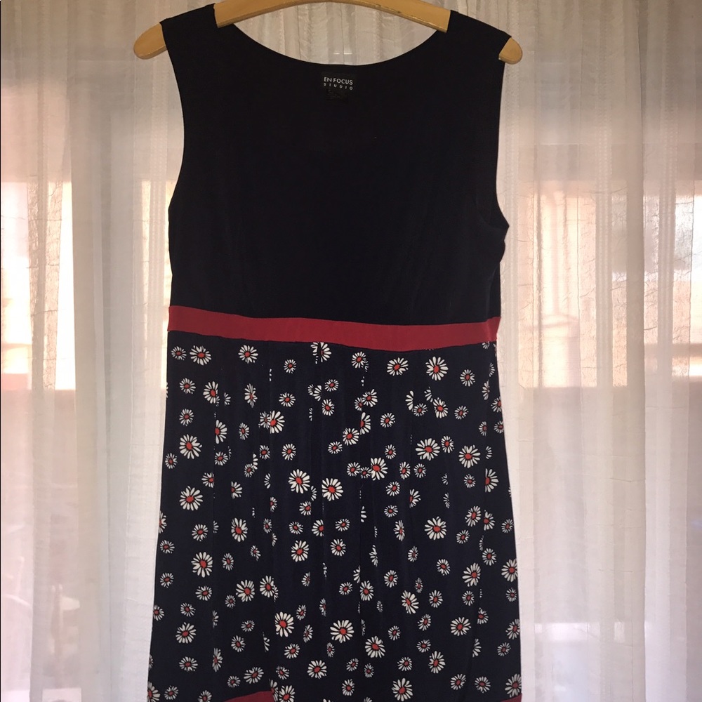 En Focus Dress Size 14