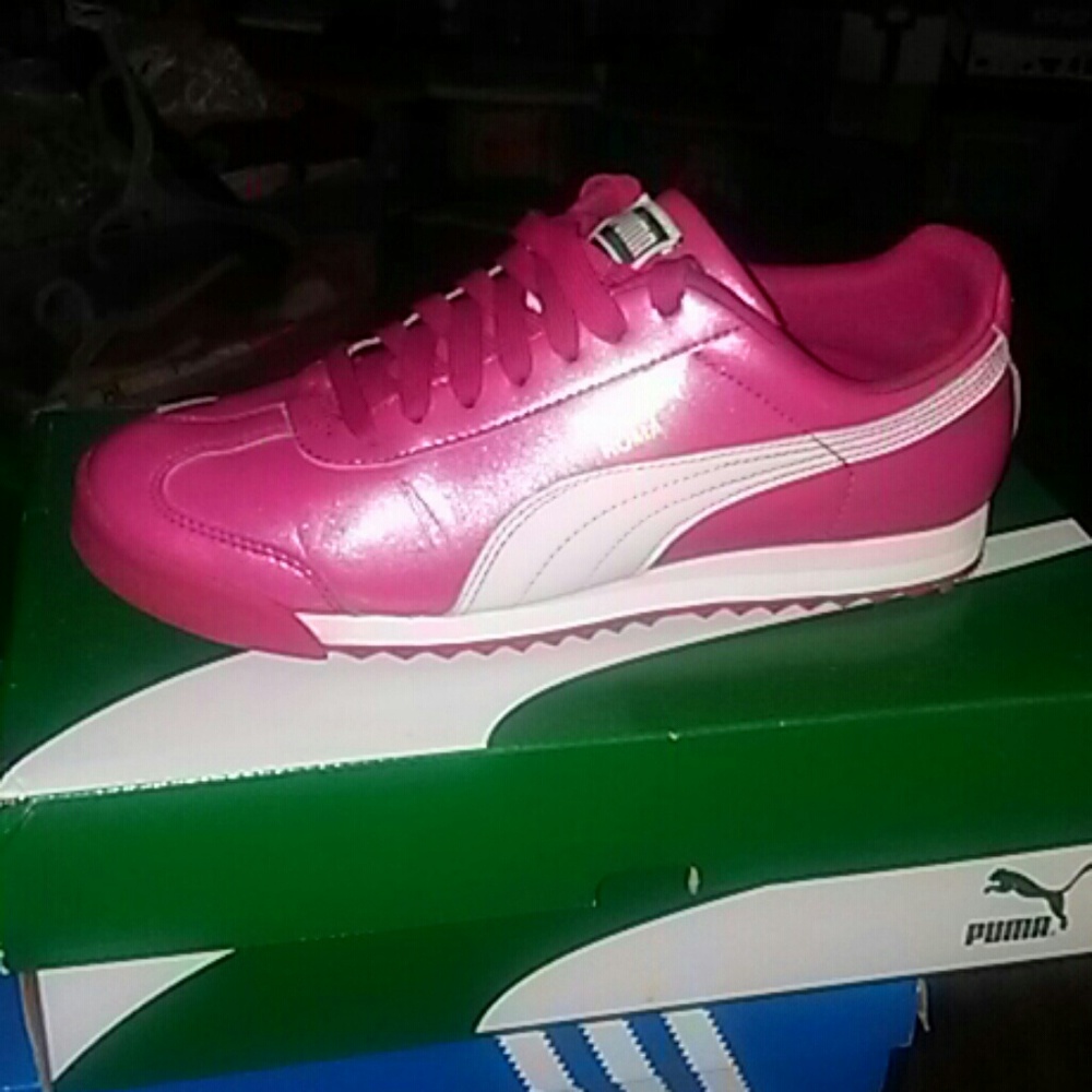 Puma roma