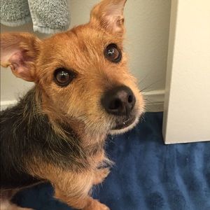 Meet your Posher, Jimmy