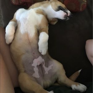 Meet your Posher, Savannah