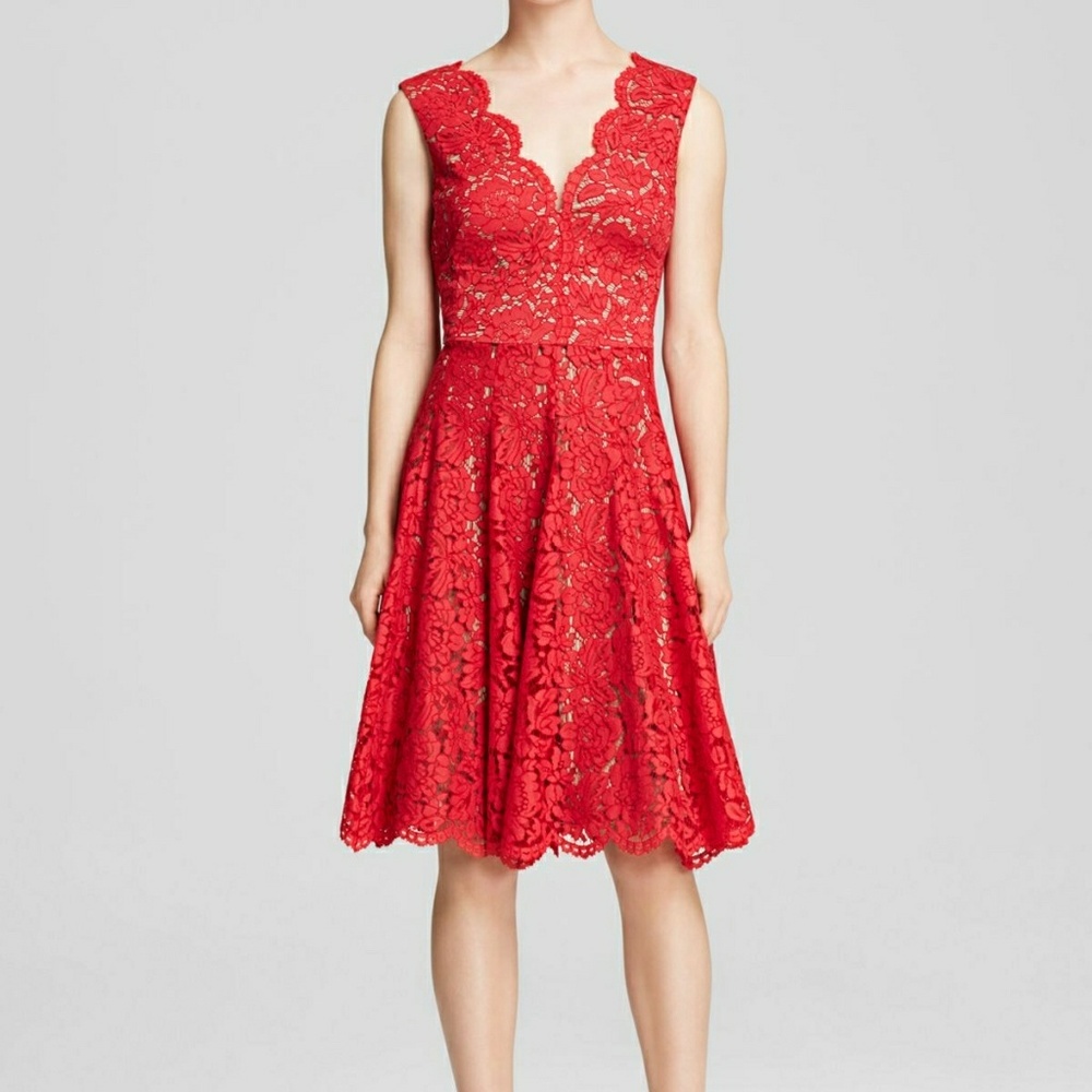 Vera Wang Scalloped Lace Fit & Flare Dress