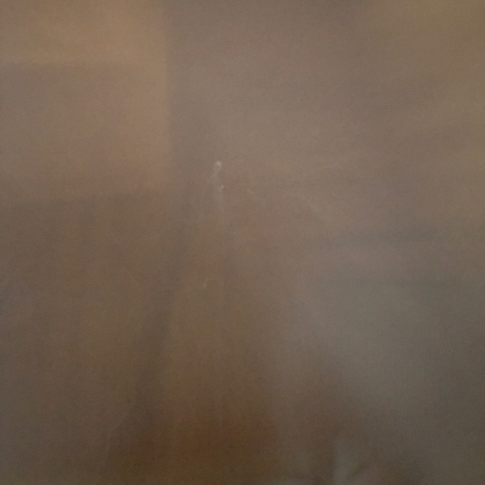 Meet your Posher, Leilani