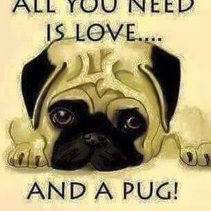 Meet your Posher, Kathy malloy