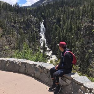 Meet your Posher, Williams