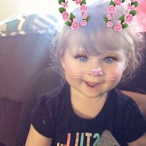 Meet your Posher, Bambi