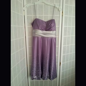 Purple and Silver Dress