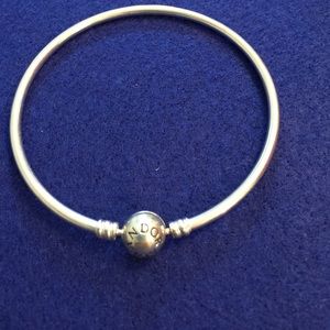 Pandora Limited Edition Bracelet/Charm Bracelet