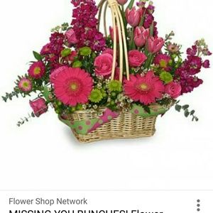 Meet your Posher, Diane