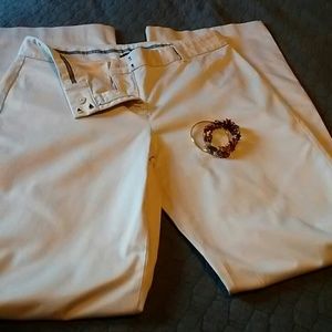 Express Editor dress pants