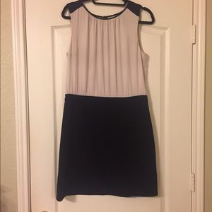 Cream & Black Loft Dress