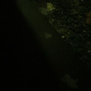 Meet your Posher, Jon