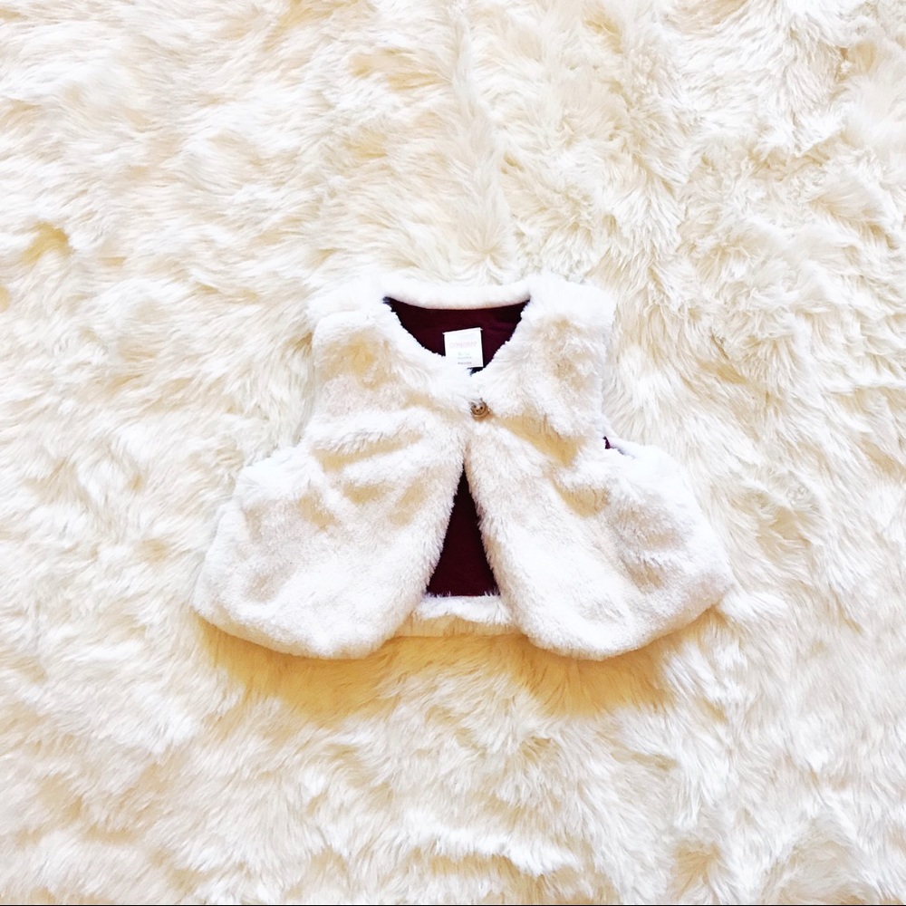 luxe fur vest | nwot