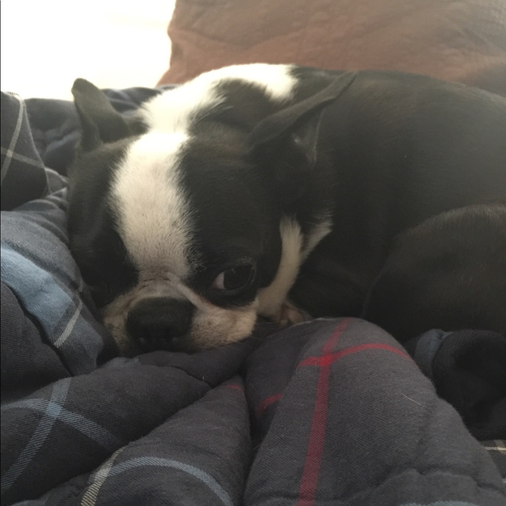 Meet your Posher, Rachel